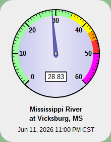 Vicksburg Gage
